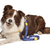 Morso Hund Leinen recycelte Farbinvasoren lila lila