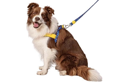 Morso Norwegische Hundernte recycelte Farbinvasoren lila lila