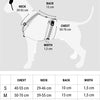 Morso-Hund Haren H-Hem recycelte Farbinvasoren lila lila