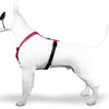 Morso Hundegurt H-Hem Recycelte Blase Leo Pink