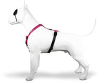 Morso Hundegurt H-Hem Recycelte Blase Leo Pink - afbeelding 2