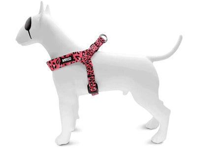 Morso Mini Hund härter verstellbarer recycelter Blase Leo Pink