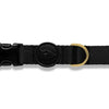 Morso Kragenhund recycelter Gold Kaviar Gold