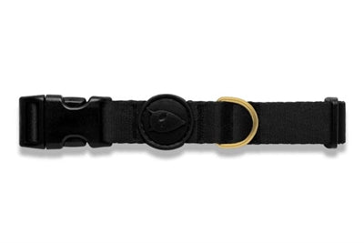 Morso Kragenhund recycelter Gold Kaviar Gold