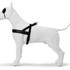 Morso Norweger Hund härterer recycelter Puress Black