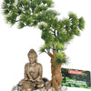 Zolux -Ornament Bonzai mit Diffusion