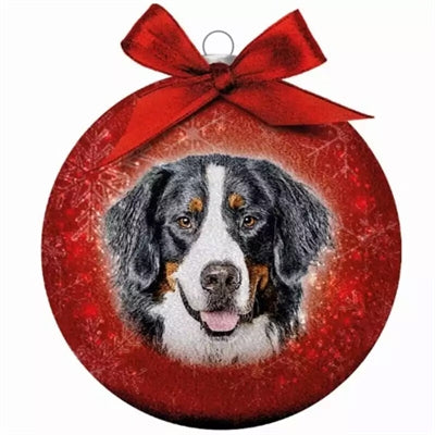 Viele Geschenke Weihnachtsball Frosted Sennen Red