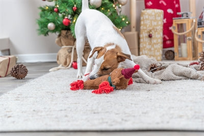 Trixie Weihnachten Rendier Plüsch Flostouw