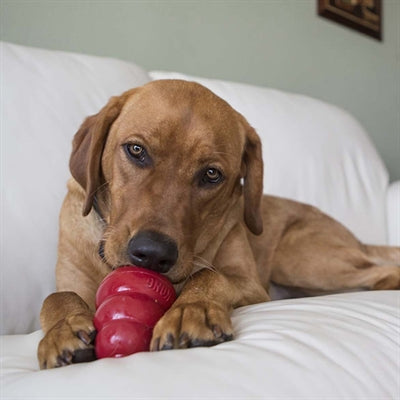 Kong Snacks Erdnussbutter