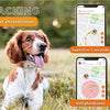 Weenect Weenect Tracker Hund Weiß