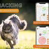 Weenect Weenect Tracker Katze schwarz