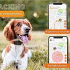 Weenect Weenect Tracker Hund schwarz