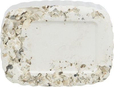 Trixie Piksteen mit Muschelmineralien und Muscheln