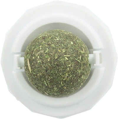 Trixie Catnip Ball mit Halter selbstadhäsiv