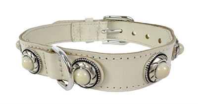 Sazzz Commasory Dog Adventure Stone lernen Creme