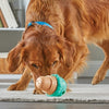 Brightkins Ice Cream Treat -Spender
