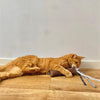 Martin -Katzenspielzeug Estelle Kissen mit Catnip Recycling -Assorti