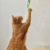 Martin Cat Toys Jason recycelte Assorti