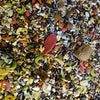 Harco Ara wählen Sie mit Pellets aus