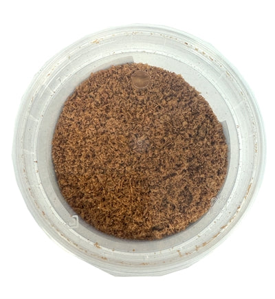Tierrogist Krill