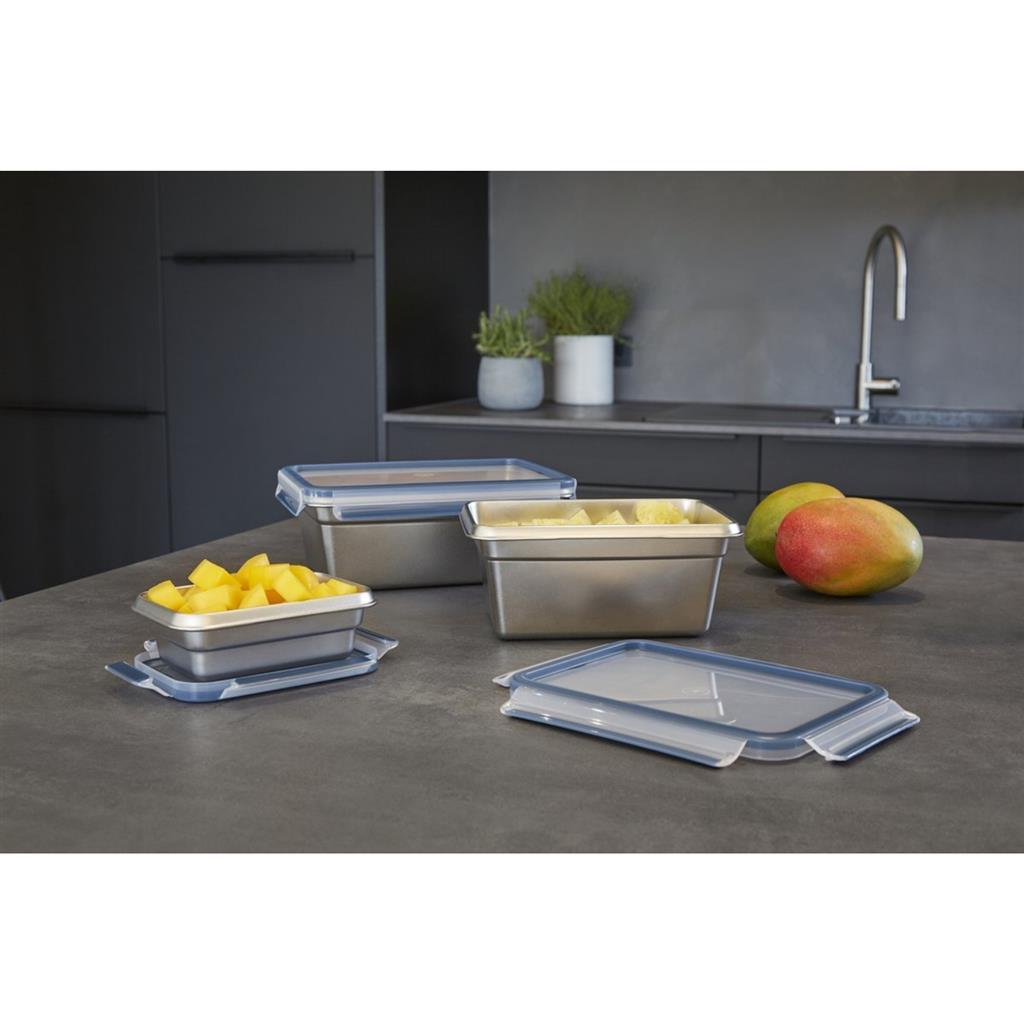 Tefal Tefal Mastersal Versoldenbakje 3L Edelstahlblau