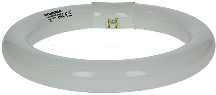 Sylvania 1044510 – Leuchtstofflampe Circlin 22 W kaltweiß 840 | 3 Stück