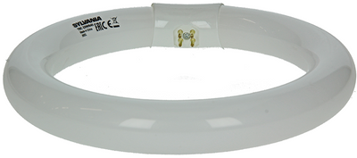 Sylvania 1044510 – Leuchtstofflampe Circlin 22 W kaltweiß 840 | 3 Stück