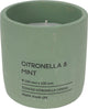 Pro Garden Citronella-Kerze im Topf 10 cm grün