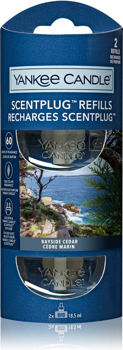 Yankee Candle – Bayside-Zeder – elektrischer Diffusor-Nachfüller – 2 Stück