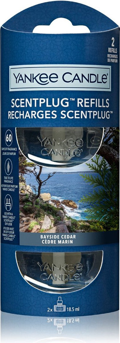 Yankee Candle – Bayside-Zeder – elektrischer Diffusor-Nachfüller – 2 Stück