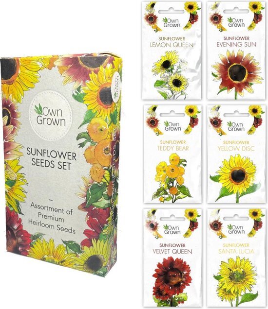 Eigen gewachsene eigene Sonnenblumensamen, die 6 verschiedene Arten von Sonnenblumen für Innen-, Garten- und Balkon umweltfreundliche Verpackung gesetzt haben