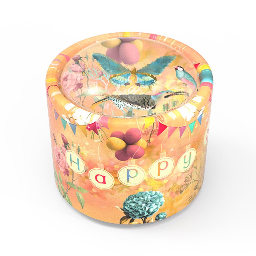 Brilly005 Musik: happy birthday. 14+