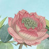 Rondo52 Musik: Blumen 02 (vivaldi).