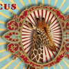 Rondo59 Musik: Zirkus (Pink Panther).
