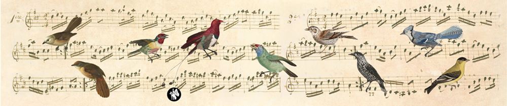 Rondo77-Musik: Noten (ave maria).