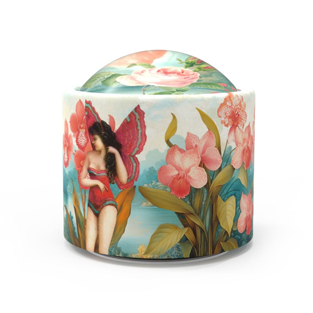 Brilly025 Musik: Lady Butterfly. (la