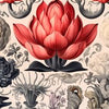 Brilly027 Musik: Lotus. (Romeo Juli