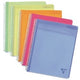 Notizbuch clairefontaine linicolor a4+