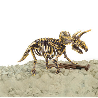 Dinobase Dinobase 3D Triceratops Skeletton