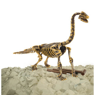 Dinobase Dinobase 3D Brachiosaurus Skeletton