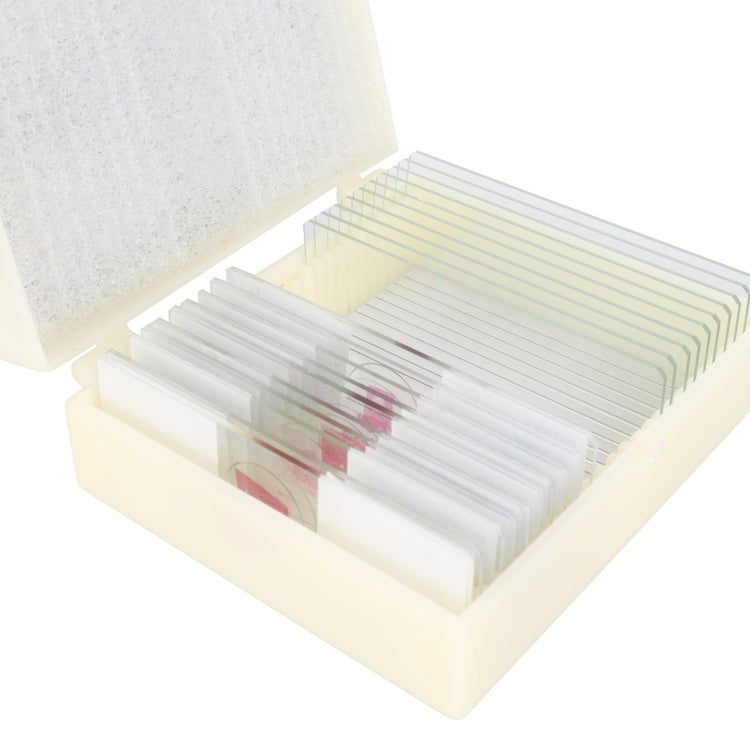 Konus Vorbereitungsset Biologieunterricht 1 (10-teilig)