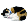 Perfekte Petzzz Perfect Petzzz Soft Lapjeskat