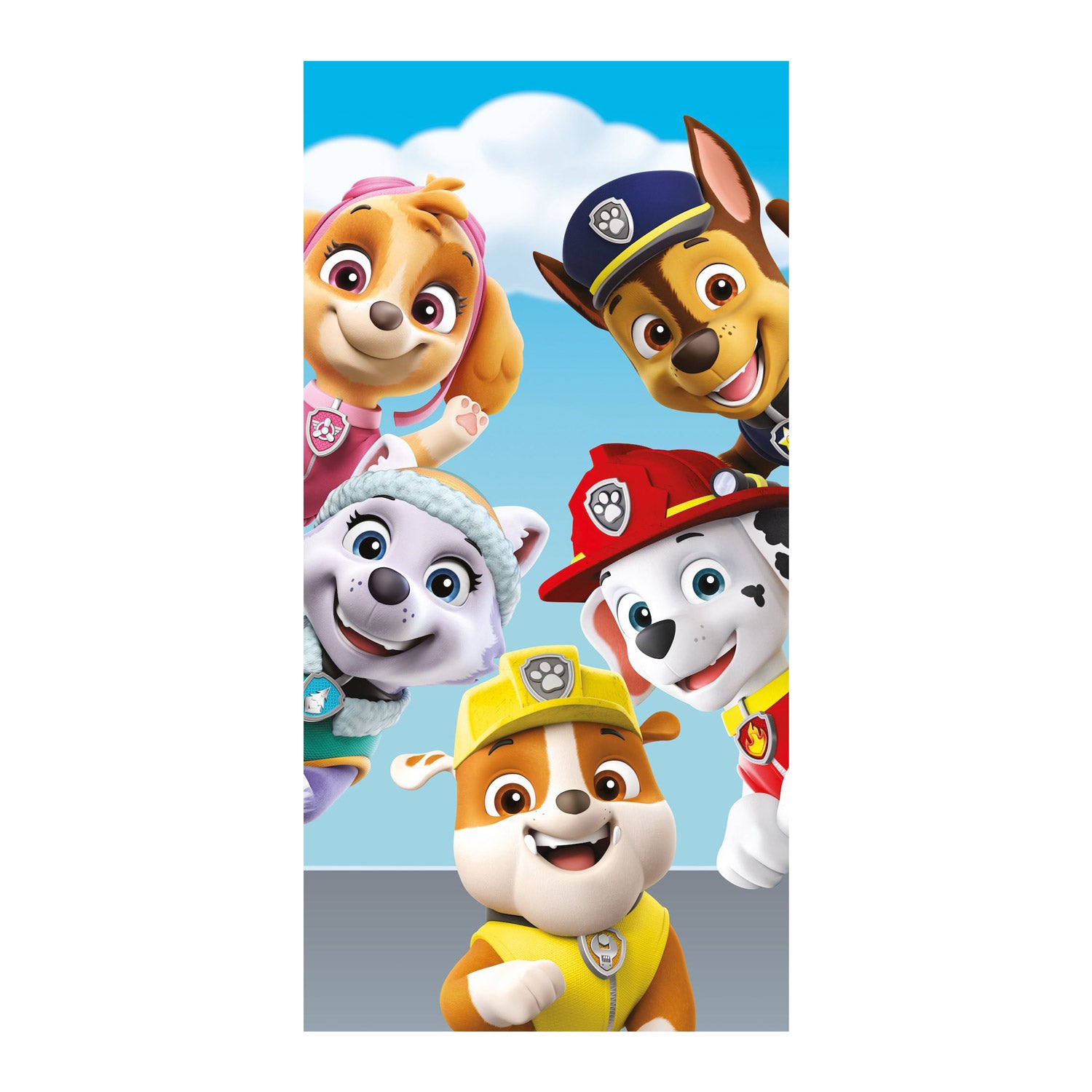 Pfotenpatrouille Strandlaken Paw Patrol, 70x140 cm