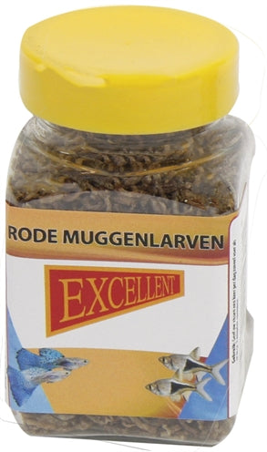 Ausgezeichnete rote Mückenlarven
