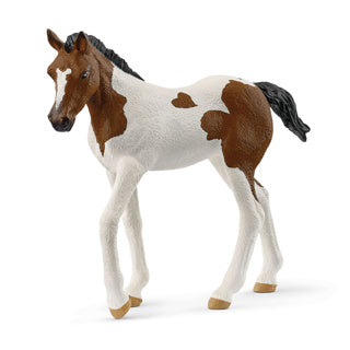 Schleiich Horse Club Paint Horse Veulen 14899