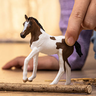 Schleiich Horse Club Paint Horse Veulen 14899