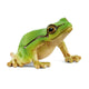 Schlich Wild Life European Tree Frosch 14882
