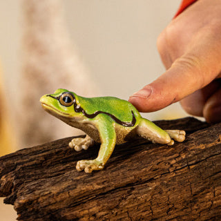 Schlich Wild Life European Tree Frosch 14882