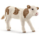 13802 Simmental -Kalb
