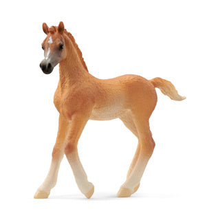 Schleiich Horse Club Arabisch Veulen 13984